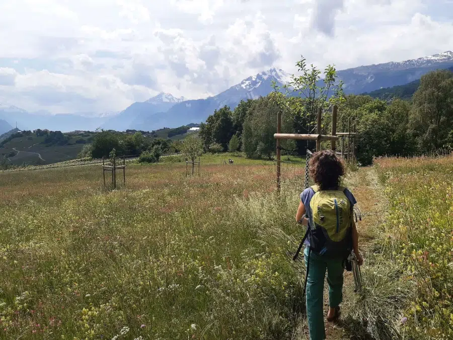 Paysage avec coiffeusse qui fera une coupe de cheveux en plein nature